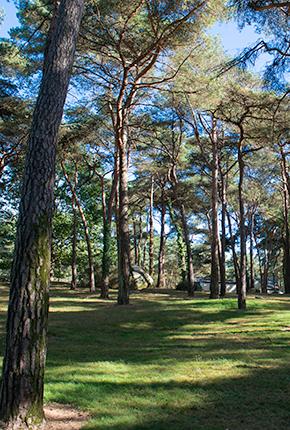 Camping Domaine de la Pinède Bretaña