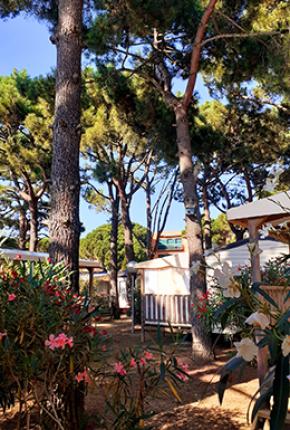 Camping Neptuno Pals España Costa Brava