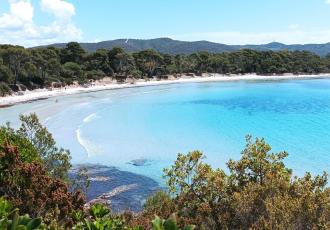 Camping Les Oursinières Le Pradet Var Méditerranée