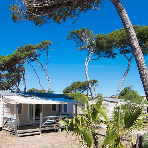 Camping Eurosurf Hyères Var Méditerranée