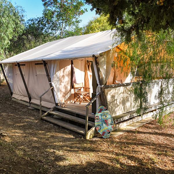 Camping Les Mimosas Le Lavandou Var