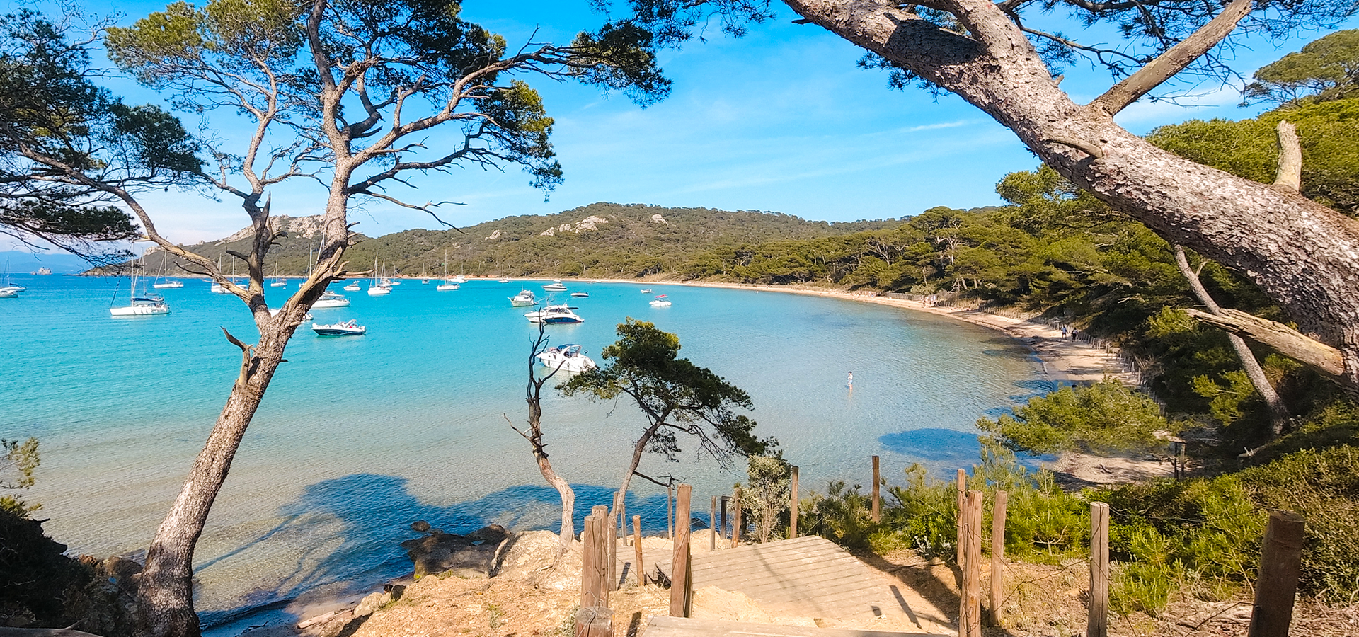 Crique île de Porquerolles en Hyères en el departamento de Var