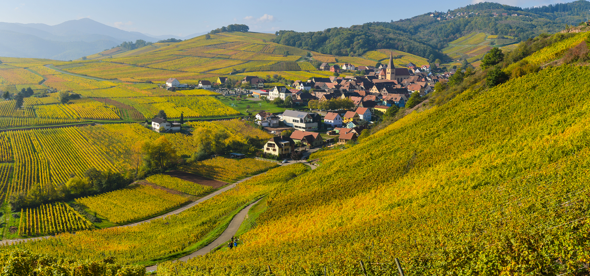 ALSACIA Y LA RUTA DEL VINO