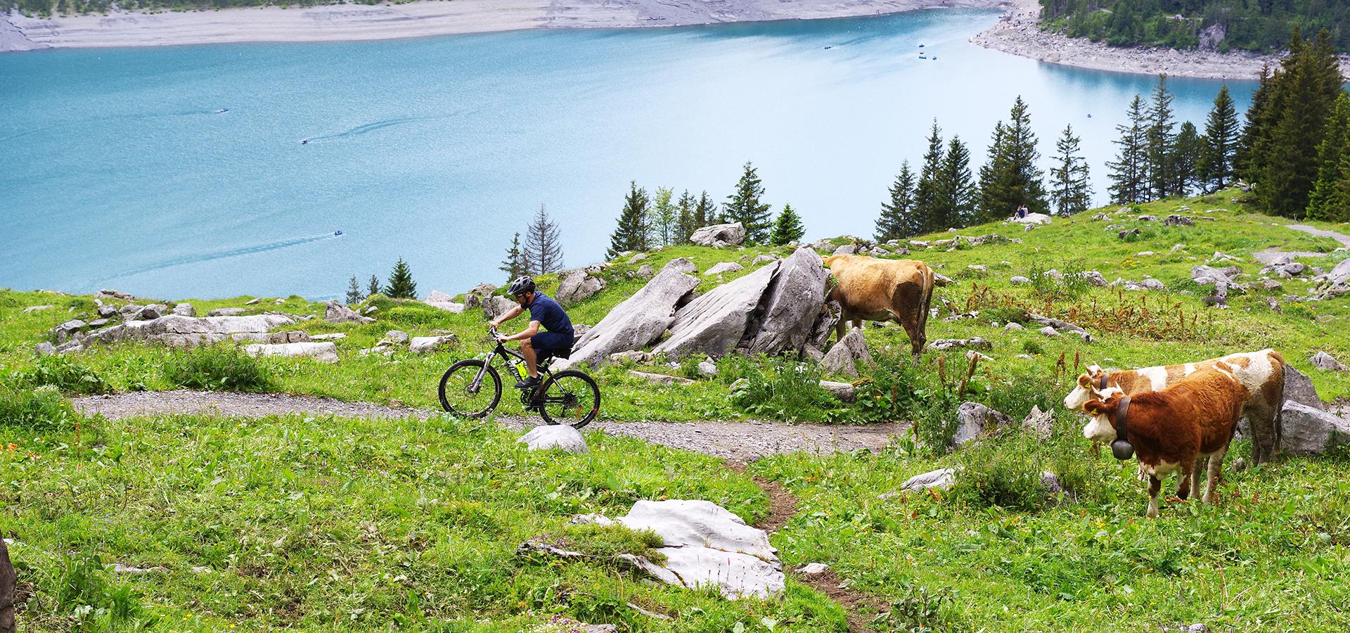 André Trigano Vacaciones Alpes del Sur