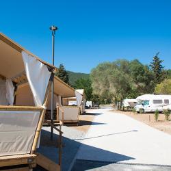 Camping Les Mimosas Le Lavandou Var