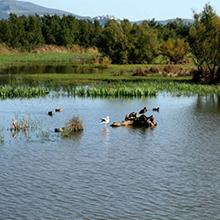 Camping Castell Montgri L'Estartit España Costa Brava