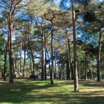 Camping Domaine de la Pinède Bretaña