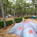 Camping La Grière La Tranche-sur-Mer Vendée